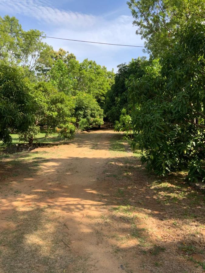 Nature Resort Polonnaruwa Exterior photo